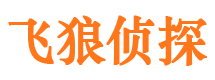 蓝田市侦探公司